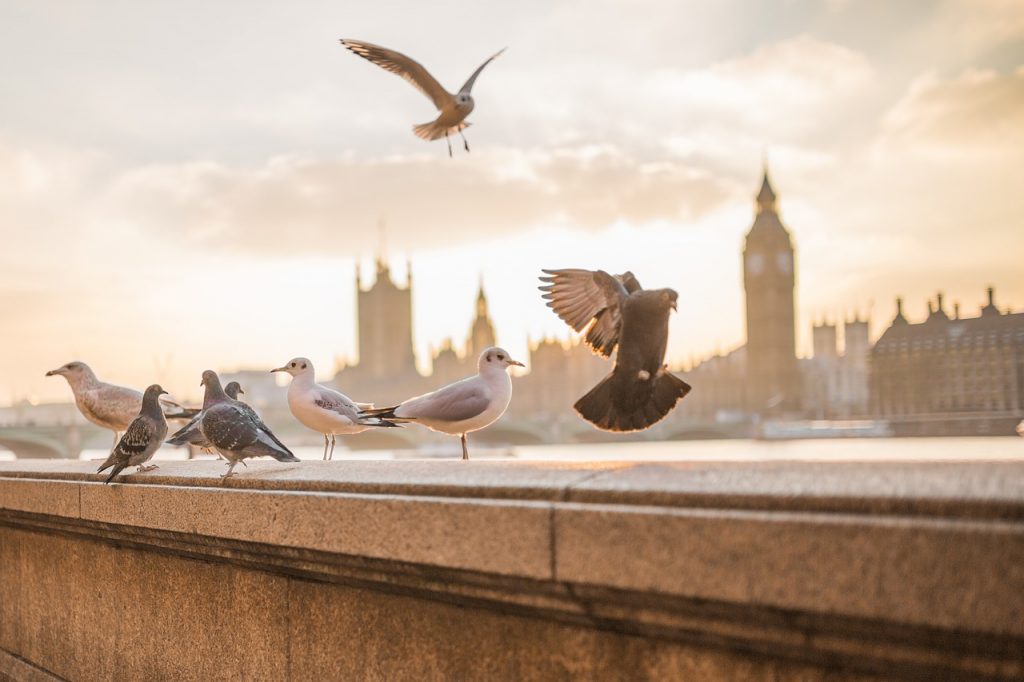 londra, iviaggidiliz