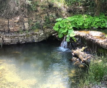 01.06 | Trekking e pranzo alle Cascate di San Fele