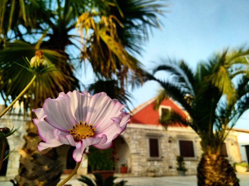 Martina Franca, Puglia, iviaggidiliz