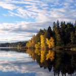 Cosa vedere a Stoccolma in 2-3 giorni: guida completa