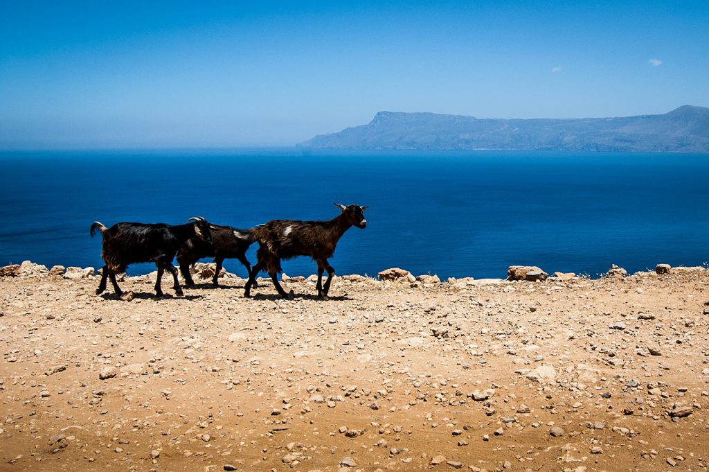 Cosa vedere a Creta, Grecia