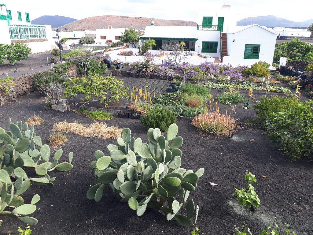 Tour di Lanzarote da Nord a Sud: la guida