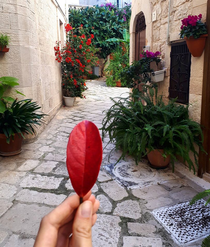 Cosa fare e cosa vedere a Giovinazzo in Puglia: 7 cose imperdibili