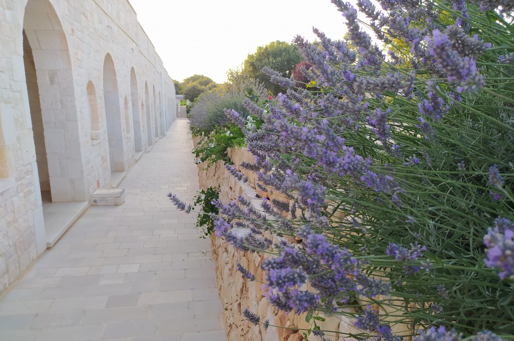 Dormire in una masseria tipica Pugliese: Masseria Grieco in Valle d'Itria