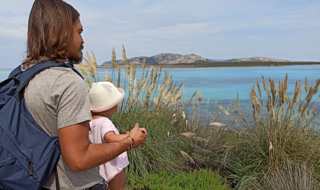 Dove prendere il traghetto per andare in Sardegna Dove prendere il traghetto per andare in Sardegna