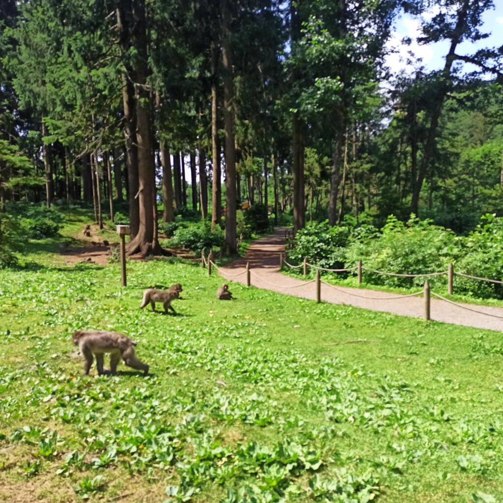 Cosa vedere a Villach e dintorni tra natura, gusto e avventura