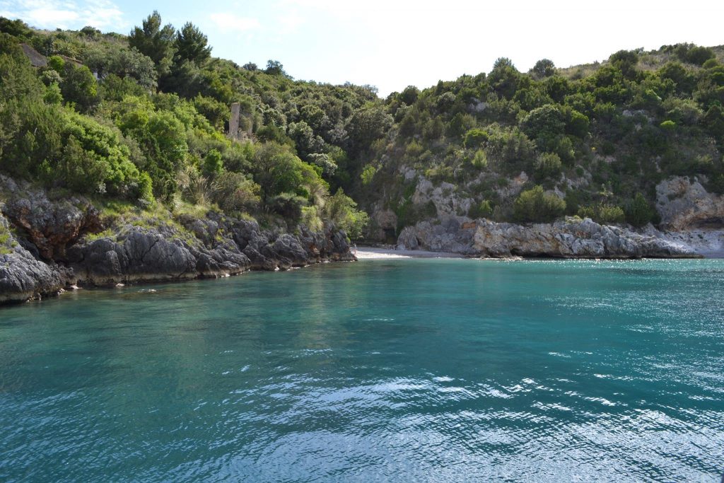 Cosa fare a Marina di Camerota, piccola guida Cosa fare a Marina di Camerota, piccola guida