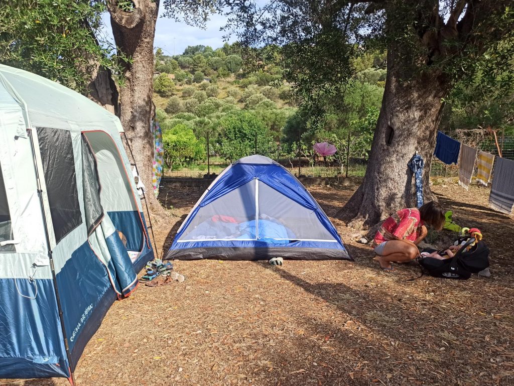 Cosa fare a Marina di Camerota, piccola guida