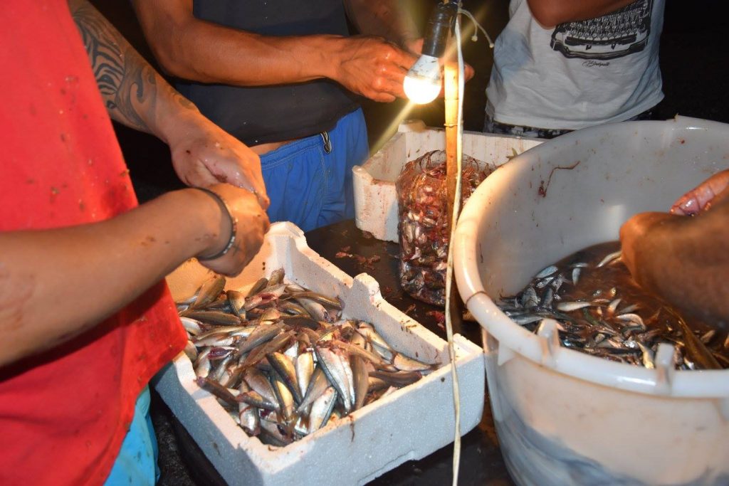 Cosa fare a Marina di Camerota, piccola guida Cosa fare a Marina di Camerota, piccola guida
