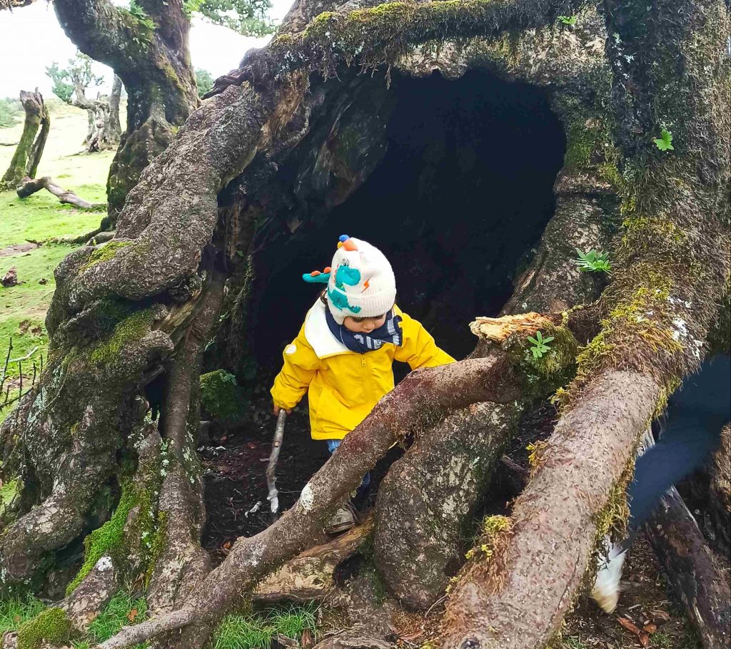 Cosa vedere a Madeira in 5 giorni Cosa vedere a Madeira in 5 giorni