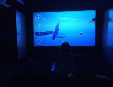 Il Museo della Balena di Caniçal a Madeira