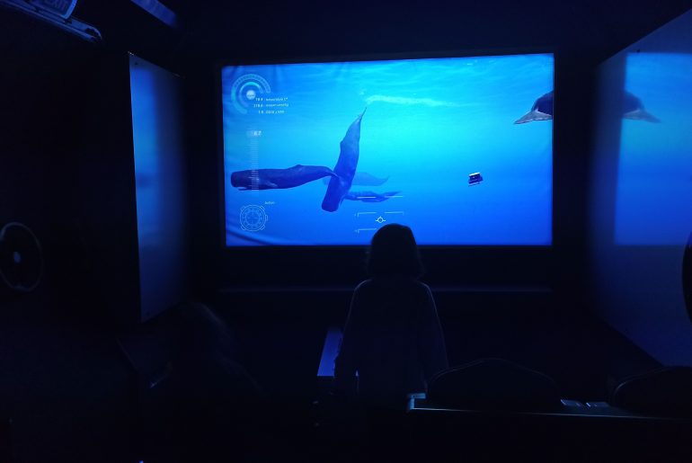 Il Museo della Balena di Caniçal a Madeira