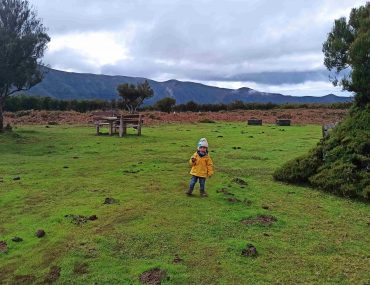 La Foresta Fanal di Madeira, guida completa