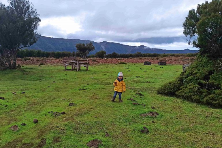 La Foresta Fanal di Madeira, guida completa