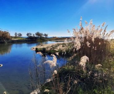 25.05 | Trekking e aperitivo a Bosco Marinella