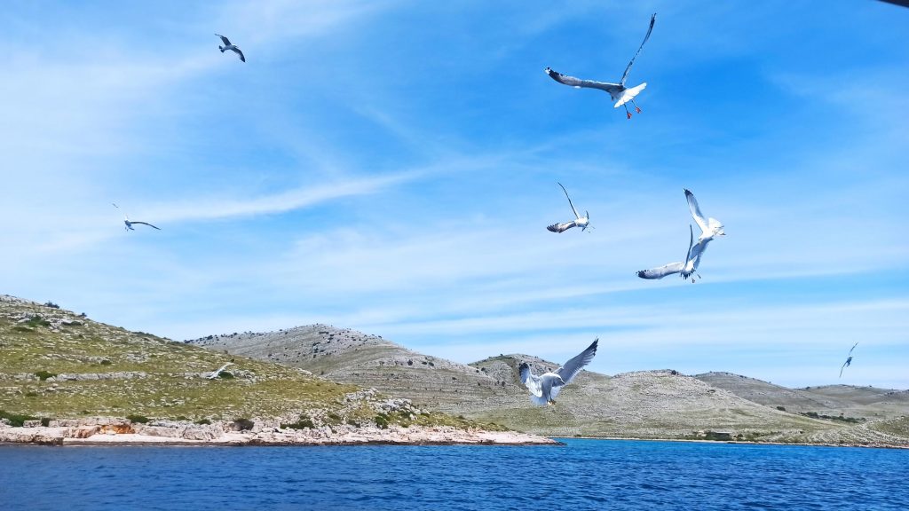 Itinerario on the road in Croazia con base a Zara