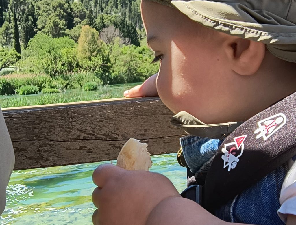 Visitare il Parco Nazionale di Krka: guida completa Visitare il Parco Nazionale di Krka: guida completa
