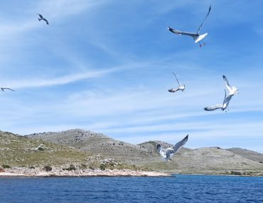 Telašćica e isole Kornati: escursione nella natura selvaggia