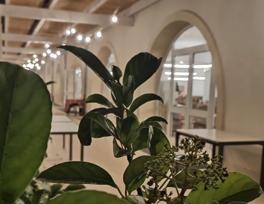 Villaggio Family-Friendly in Salento: Fruit Village La Brunese