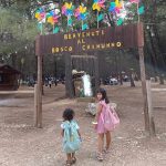 Bosco Chinunno: parco avventura, picnic, animali e Masseria