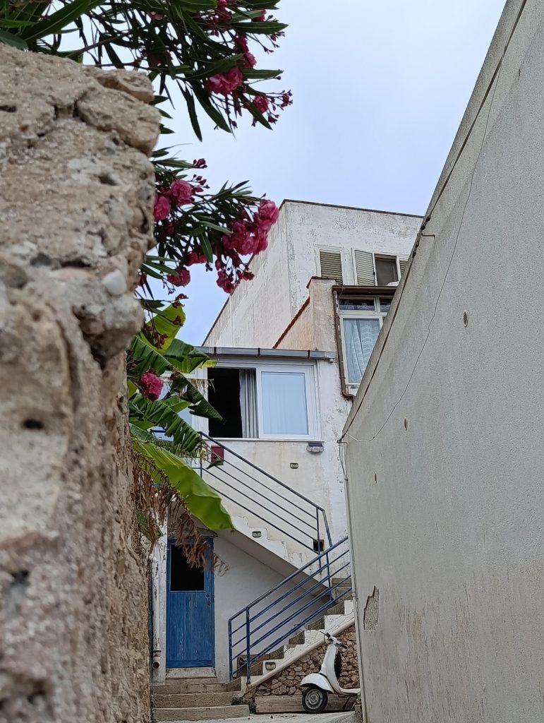 Cosa vedere a Levanzo: guida pratica Cosa vedere a Levanzo: guida pratica